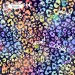 Colorful Cheetah (3 in 1) exclusive seamless pattern - Blossom