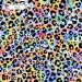 Colorful Cheetah (3 in 1) exclusive seamless pattern - Fancy