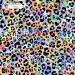 Colorful Cheetah (3 in 1) exclusive seamless pattern - Fancy