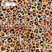 Colorful Cheetah (3 in 1) exclusive seamless pattern - Gold