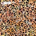 Colorful Cheetah (3 in 1) exclusive seamless pattern - Gold