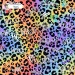 Colorful Cheetah (3 in 1) exclusive seamless pattern - Happy