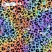 Colorful Cheetah (3 in 1) exclusive seamless pattern - Happy
