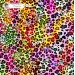 Colorful Cheetah (3 in 1) exclusive seamless pattern - Phoenix