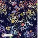 Colorful Cheetah (3 in 1) exclusive seamless pattern - Starlight