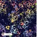 Colorful Cheetah (3 in 1) exclusive seamless pattern - Starlight