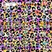 Colorful Cheetah (3 in 1) exclusive seamless pattern - Sugar