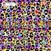 Colorful Cheetah (3 in 1) exclusive seamless pattern - Sugar