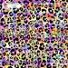 Colorful Cheetah (3 in 1) exclusive seamless pattern - Sugar