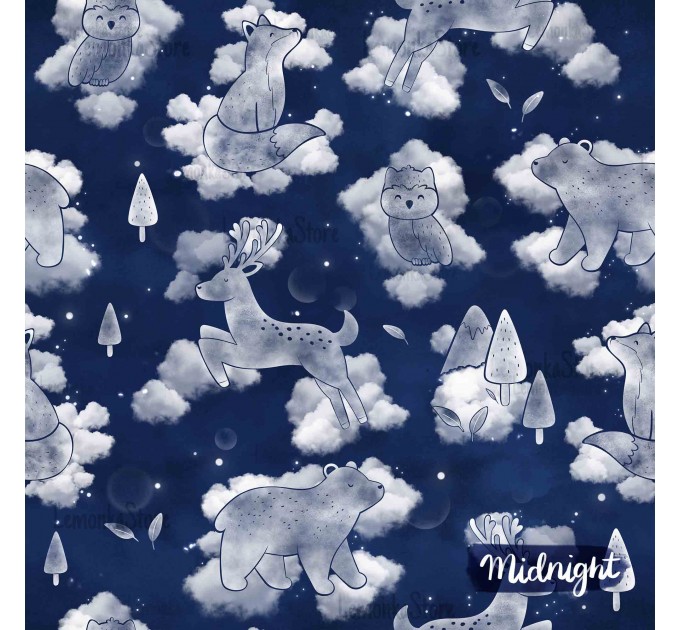 Dreams - Midnight
