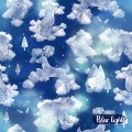 Dreams - Polar lights