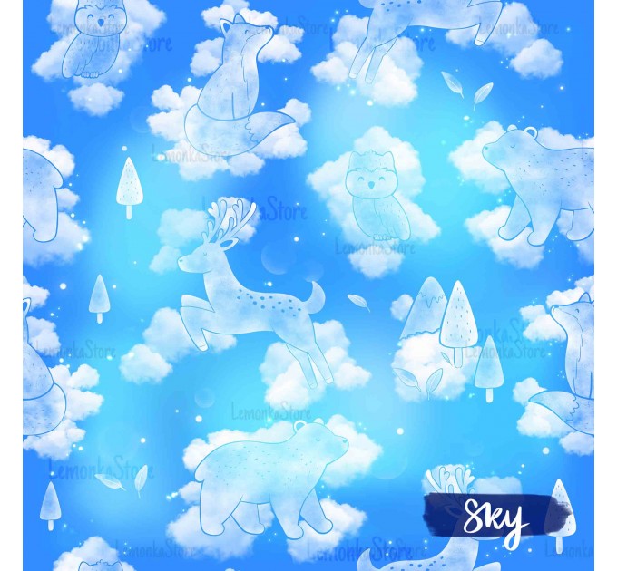 Dreams - Sky