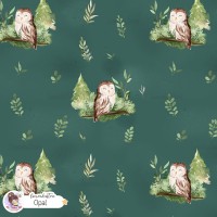 Forest spirit (Owl) [Coordinate] - Opal
