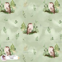 Forest spirit (Owl) [Coordinate] - Sage