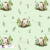 Forest spirit (Owl) [Coordinate] - Soft