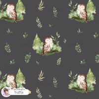 Forest spirit (Owl) [Coordinate] - Truffle