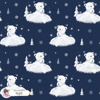 Polar Bear - Night
