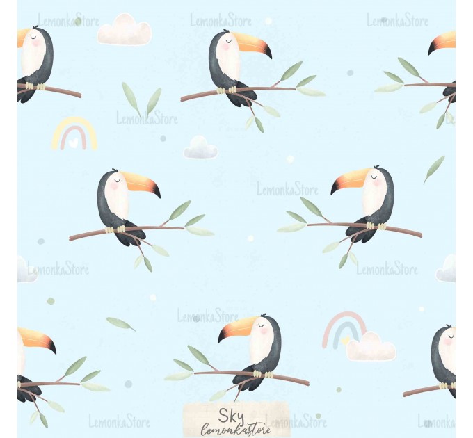Safari numbers [Coordinate] - Sky