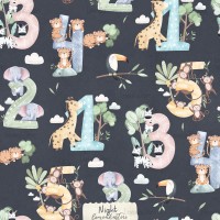 Safari Animals Numbers - Night