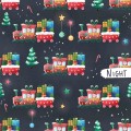 Santa train - Night