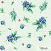 Sweet Blueberry - Blush