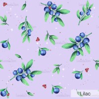 Sweet Blueberry - Lilac