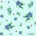 Sweet Blueberry - Mint