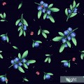 Sweet Blueberry - Night