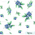 Sweet Blueberry - White