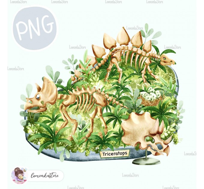 Dinosaur museum - Triceratops [PNG Clipart]