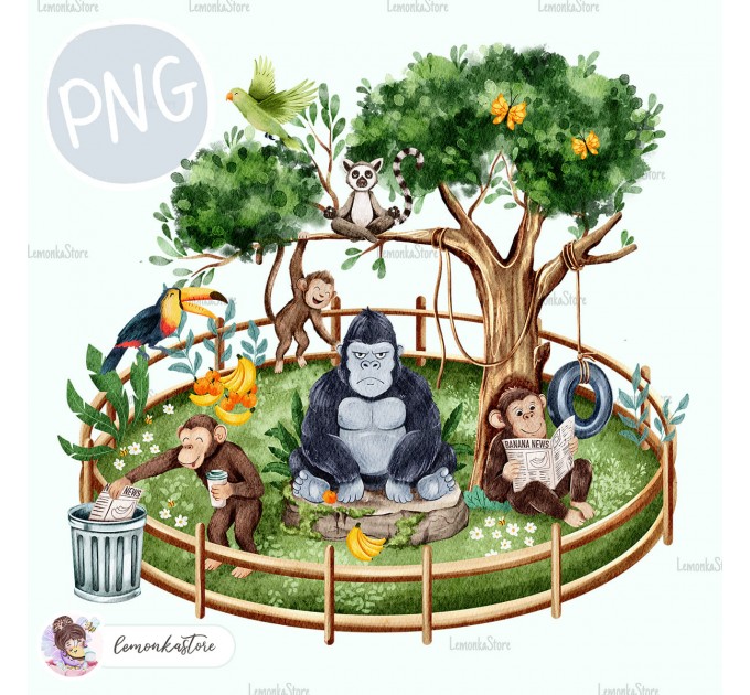 Funny Monkeys - Wildlife Park - Jungle [PNG Clipart]