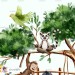 Funny Monkeys - Wildlife Park - Jungle [PNG Clipart]