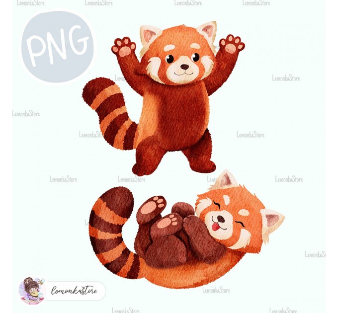 Red Panda - Wildlife Park [PNG Clipart]