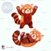 Red Panda - Wildlife Park [PNG Clipart]