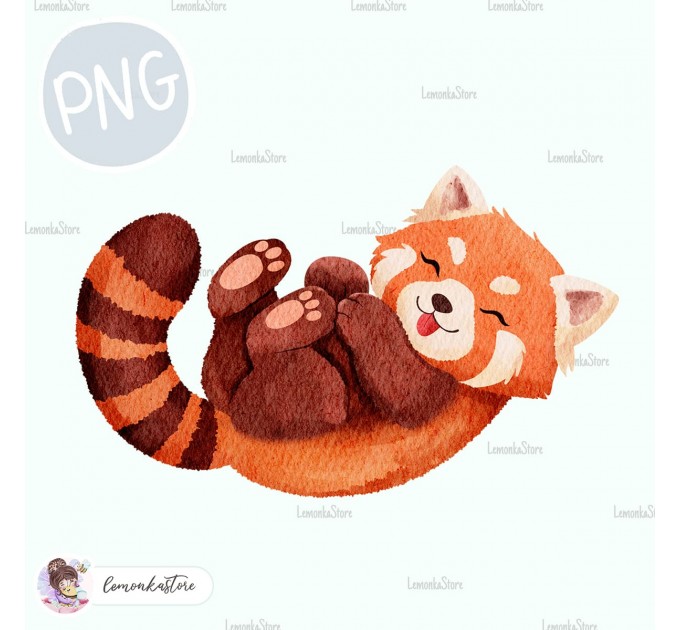 Red Panda - Wildlife Park [PNG Clipart]