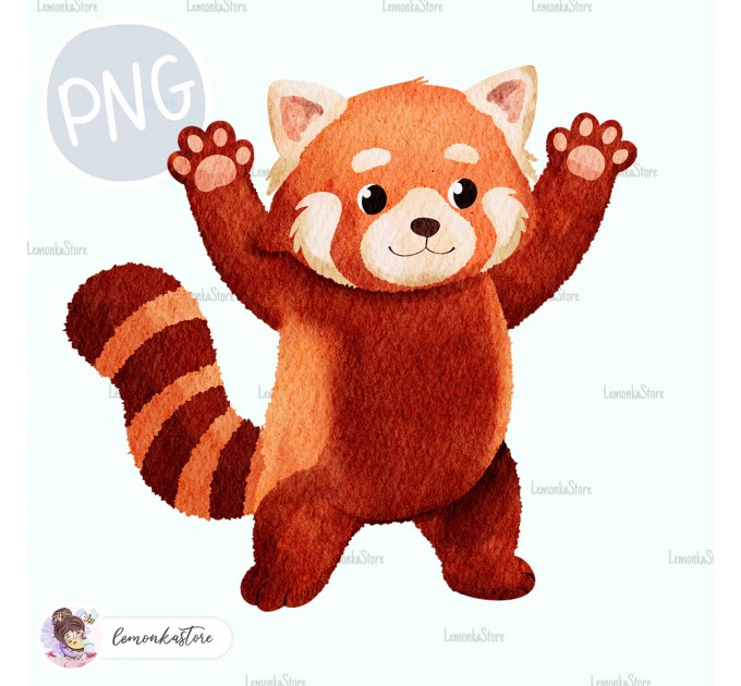 Red Panda - Wildlife Park [PNG Clipart]