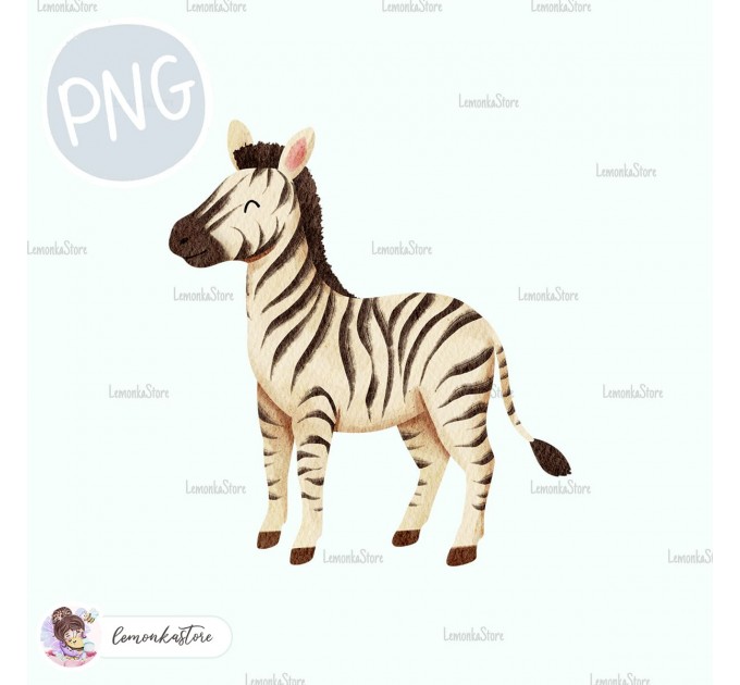 Cute zebra - Wildlife Park [PNG Clipart]