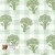 Gingham