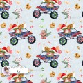 Cookie Truck exclusive seamless pattern - Icy