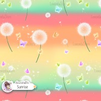 Dandelions - Sunrise